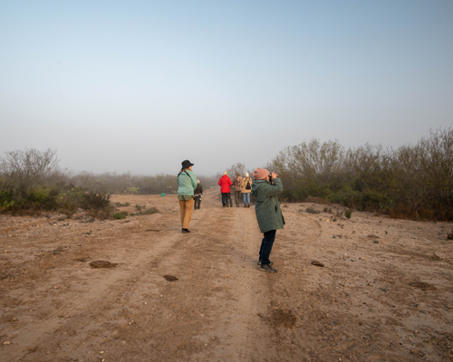 birders"